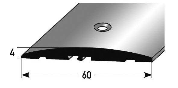 Übergangsprofil 60 x 4 mm 100 x 6 x 4 cm