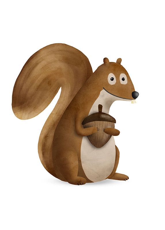 Komar Wandbild - Cute Animal Squirrel - Größe: 50 x 70 cm