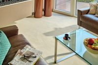 Teppich Vorwerk Passion MODENA Velours Braun 7H86 gekettelt