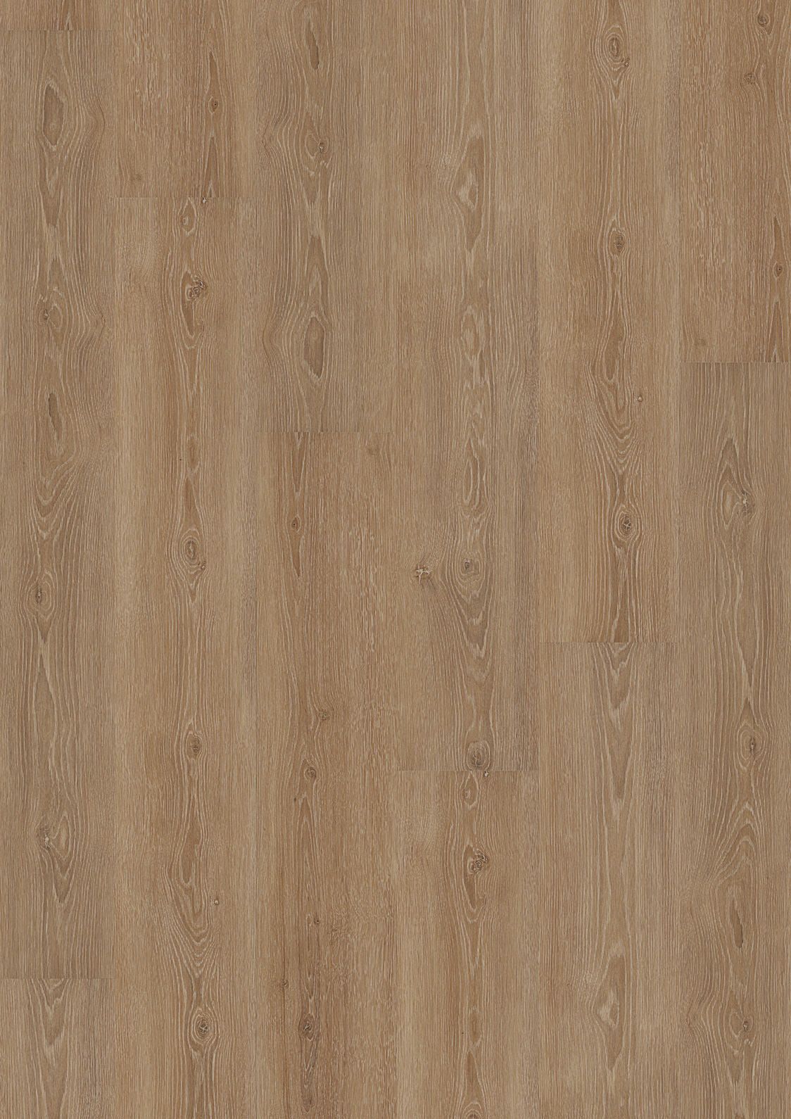 DESIGN 555 2,5mm/NS 0,55mm Dryback