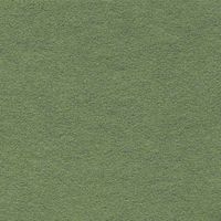 Teppichplanken 25 x 100 cm Nadelvlies FINETT DIMENSION p609203 Farn