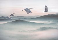 Vlies Fototapete - Mystic Cranes - Größe 400 x 280 cm