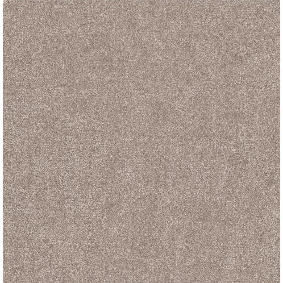 Beige 1N43