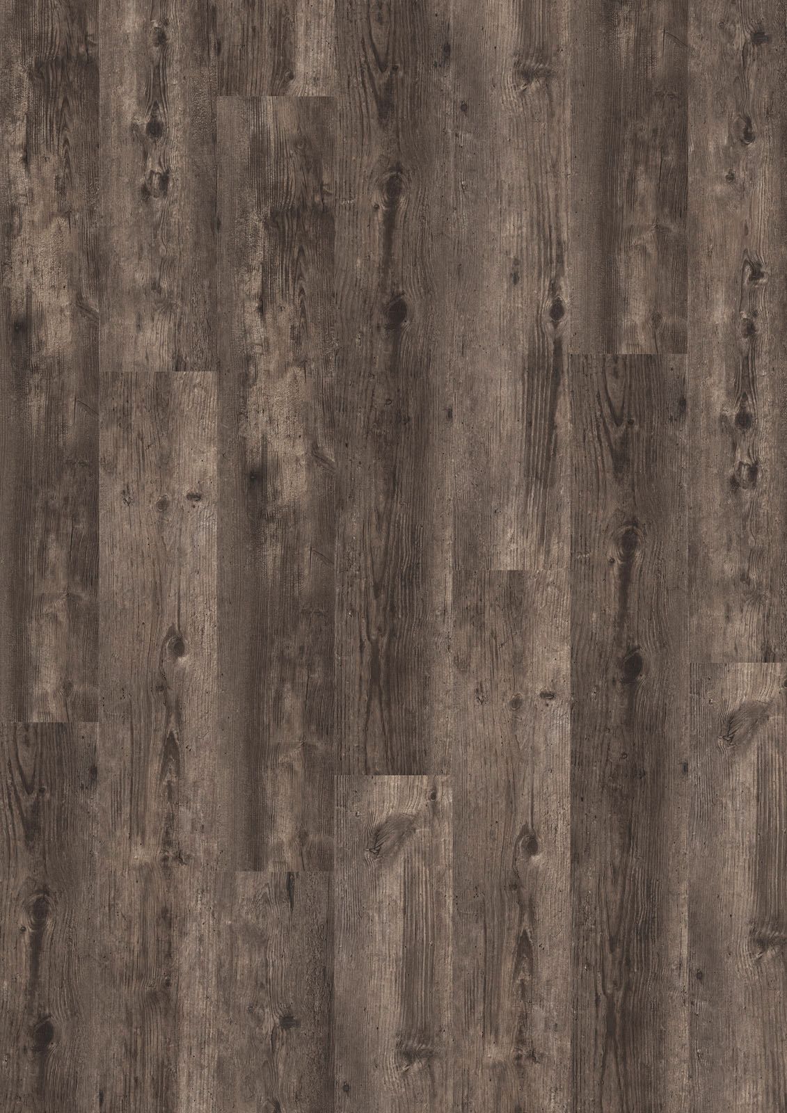 DESIGN 555 2,5mm/NS 0,55mm Dryback