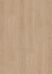 Perfect Beige Oak