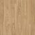 Citizen Oak NATURAL