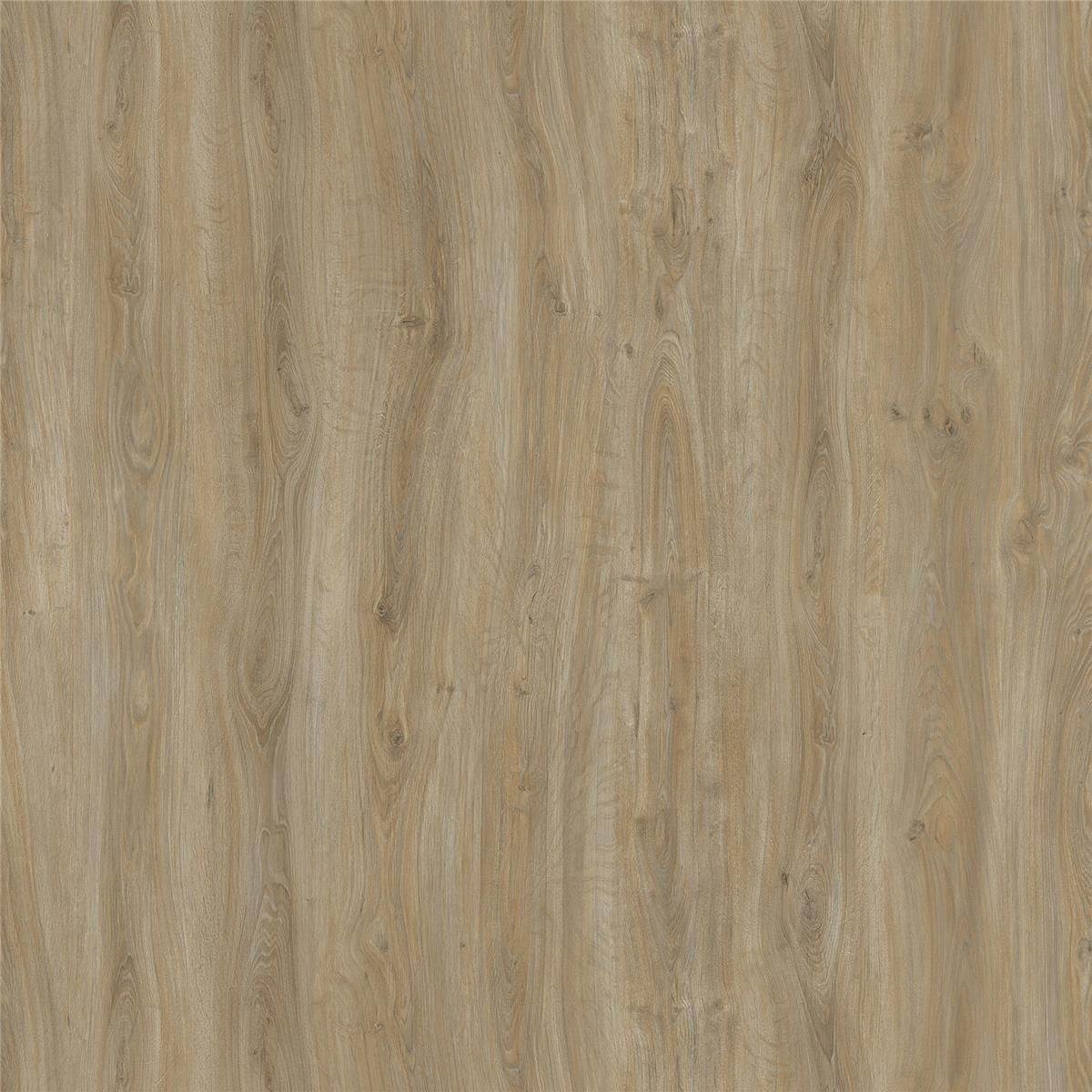 English Oak ALMOND