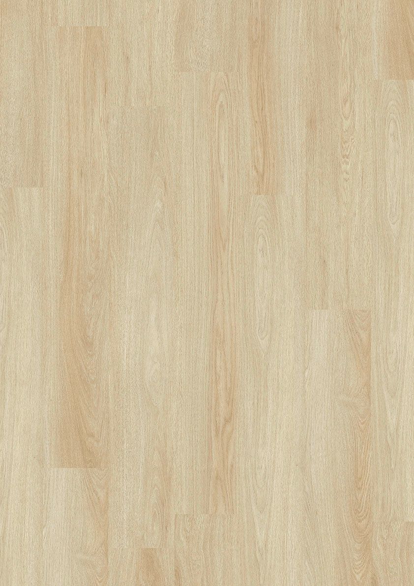 Design 555 Evolut 2,5/0,55mm Klebe