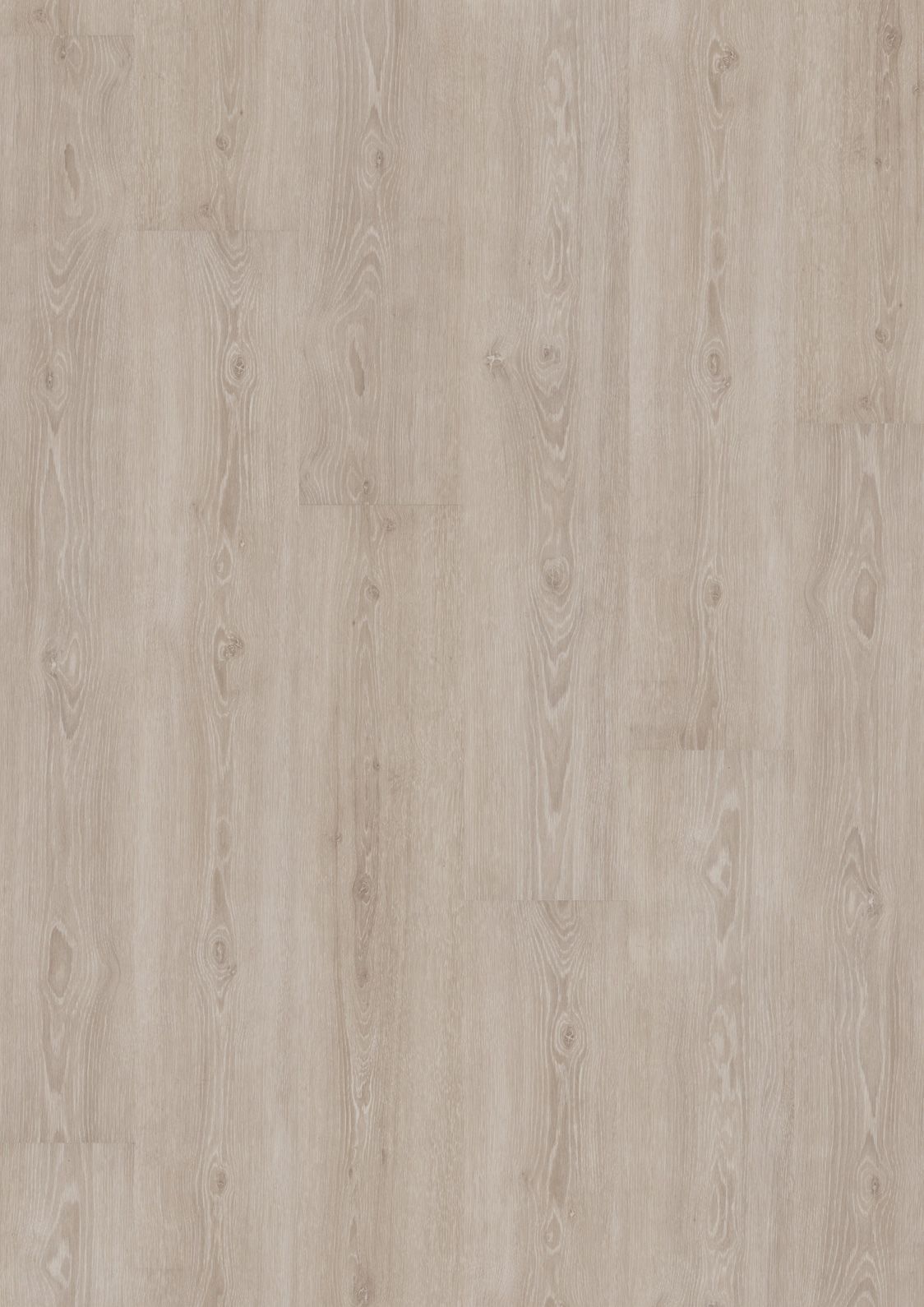 DESIGN 555 2,5mm/NS 0,55mm Dryback