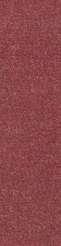 Teppichboden Sera PL 25x100 cm Farbe 840