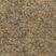 Beige 174
