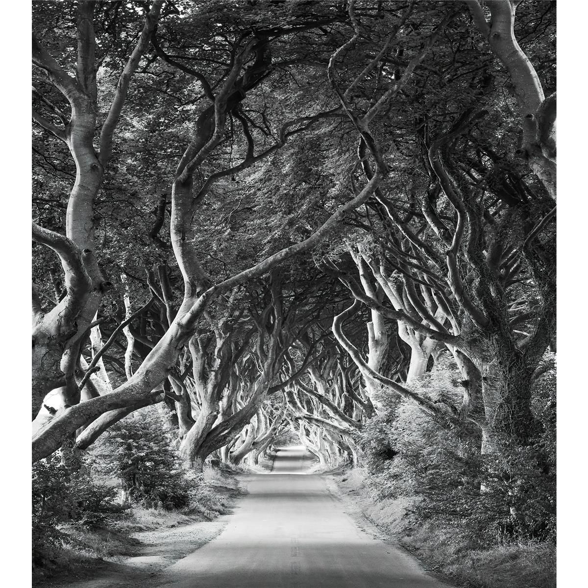 Vlies Fototapete - Forevenue - Größe 250 x 280 cm