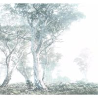 Vlies Fototapete - Magic Trees - Größe 300 x 280 cm