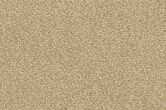 Teppichboden DAS TEPPICHWERK Superior 1064 LYRICA Velours Creme 8L31 - Rollenbreite 500 cm