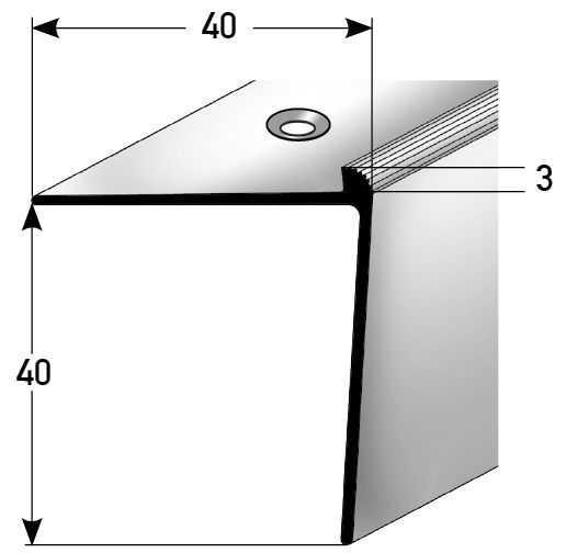 JOKA Treppenkante gebohrt Alu eloxiert 100 x 4 cm