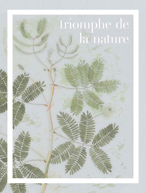 Komar Wandbild - Triomphe de la nature  - Größe: 30 x 40 cm