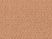 Apricot-1Q11