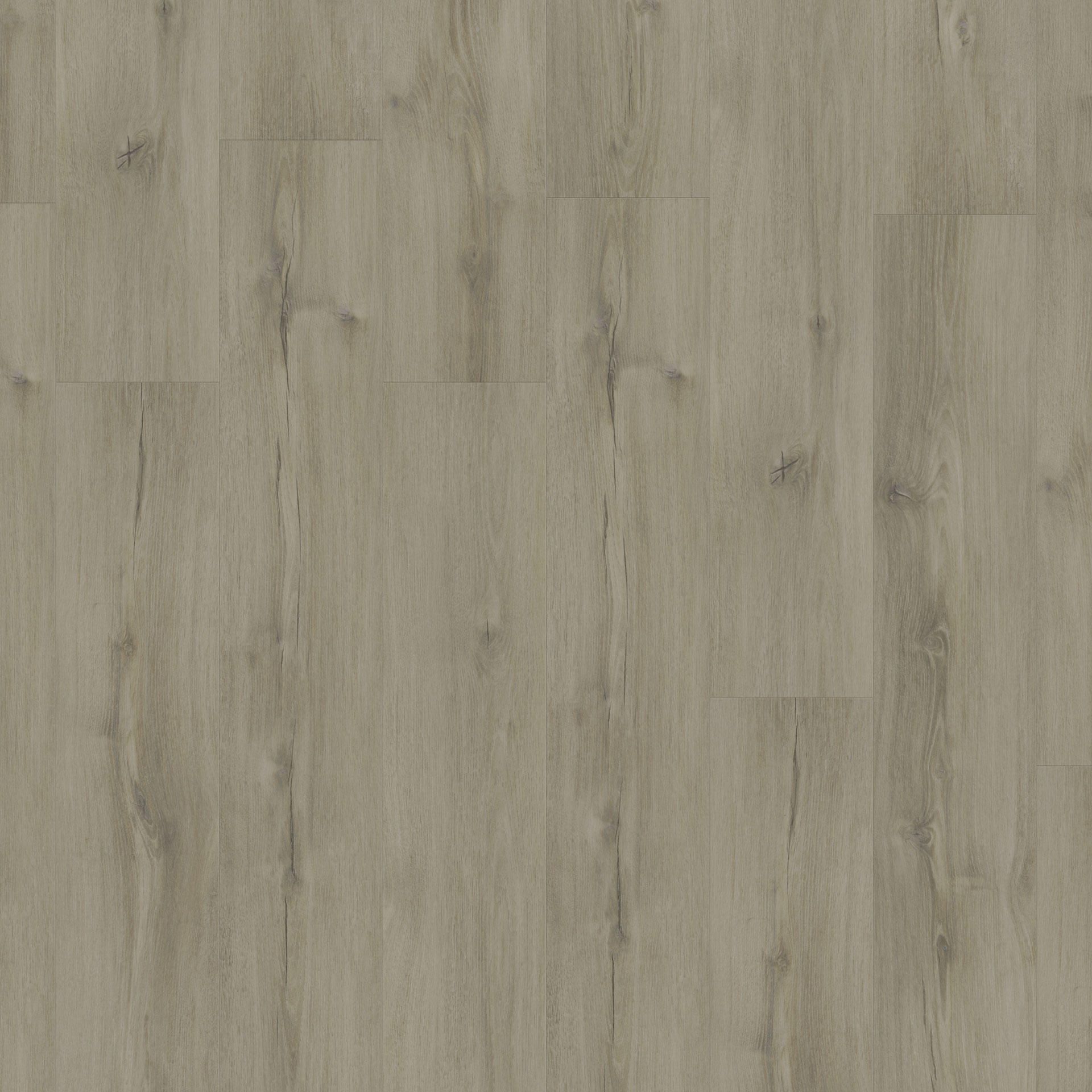 Galloway Oak MEDIUM BEIGE