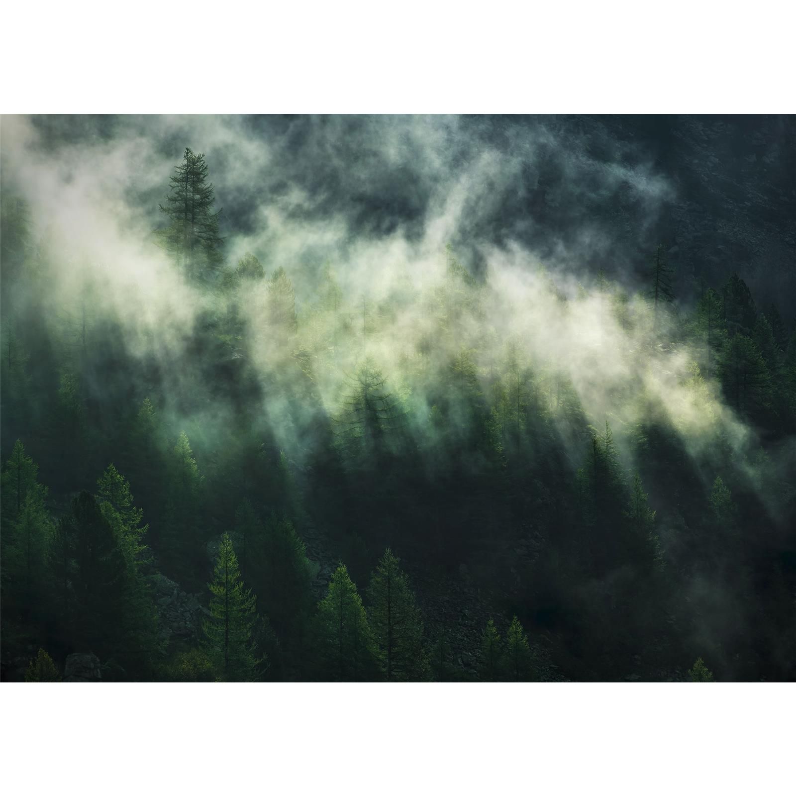 Vlies Fototapete - Misty Crowns  - Größe 350 x 250 cm