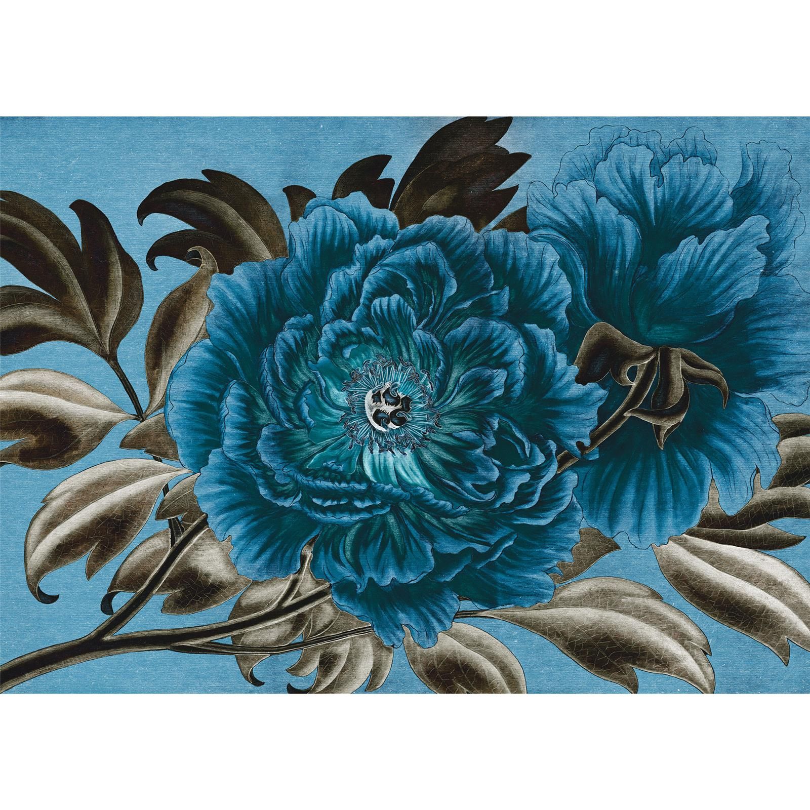 Vlies Fototapete - Royal Peony  - Größe 350 x 250 cm