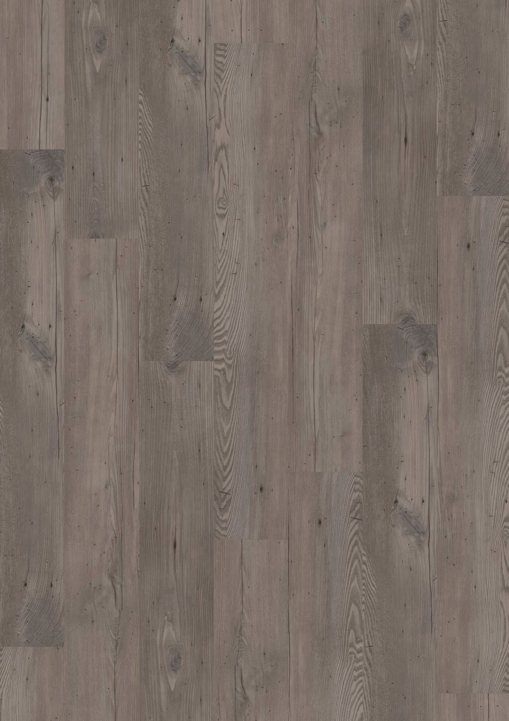 Designboden Fliese 184,2 mm x 1219,2 mm DESIGN 555 Dryback 5528 Wormy Grey Fir - Nutzschichtdicke 0,55 mm