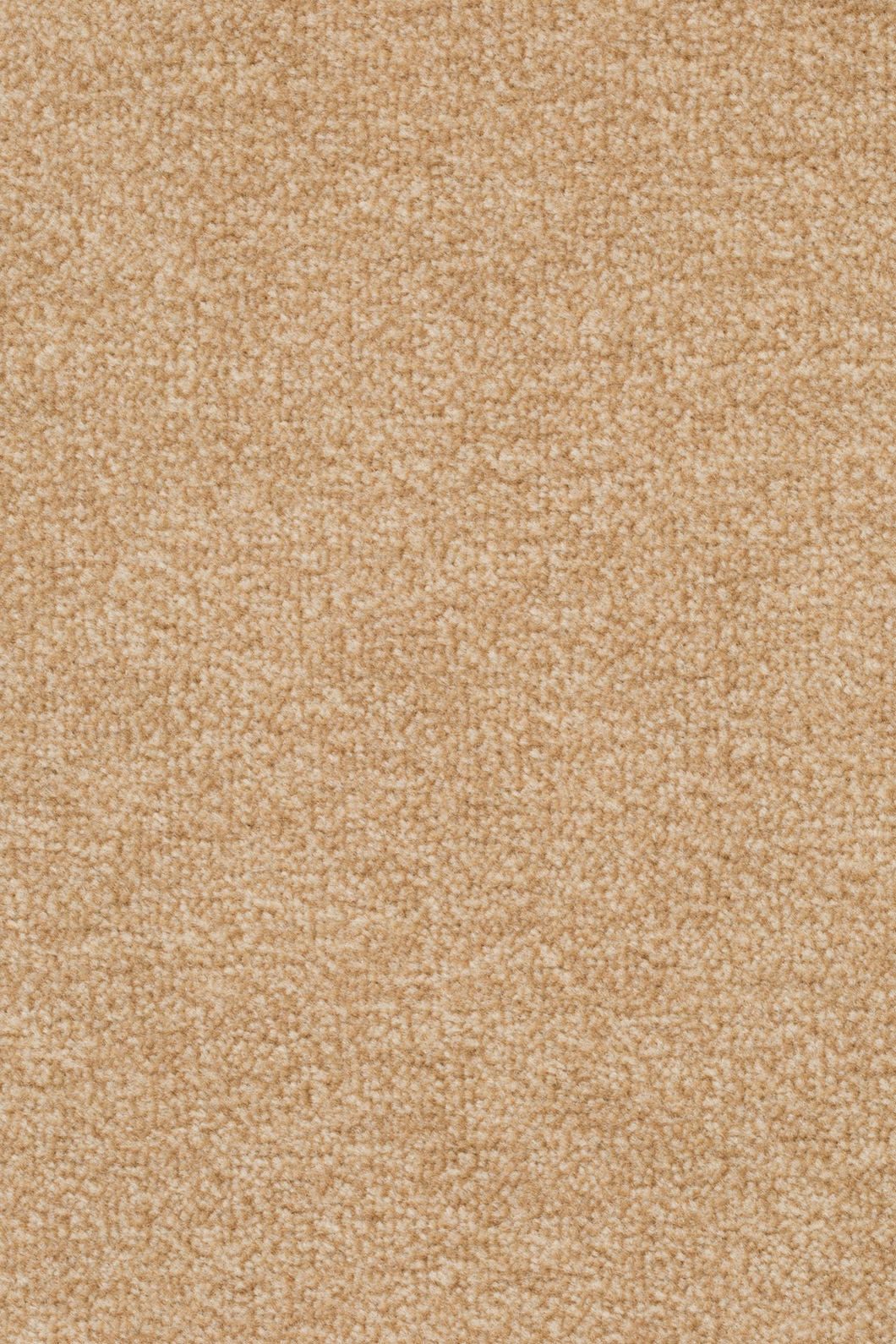 Teppichboden ASTRO Beige 231 - Rollenbreite 500 cm