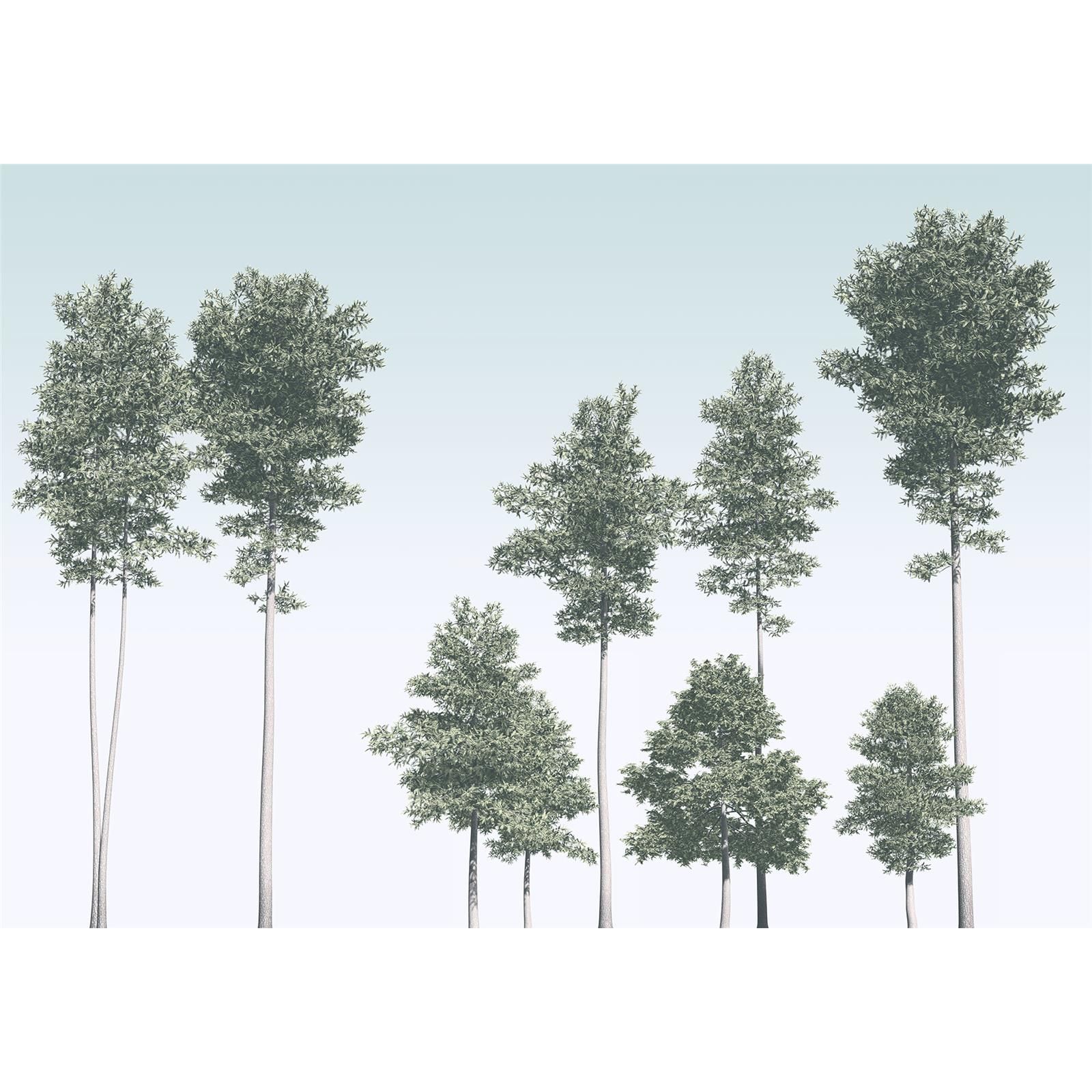 Vlies Fototapete - Pines - Größe 400 x 280 cm