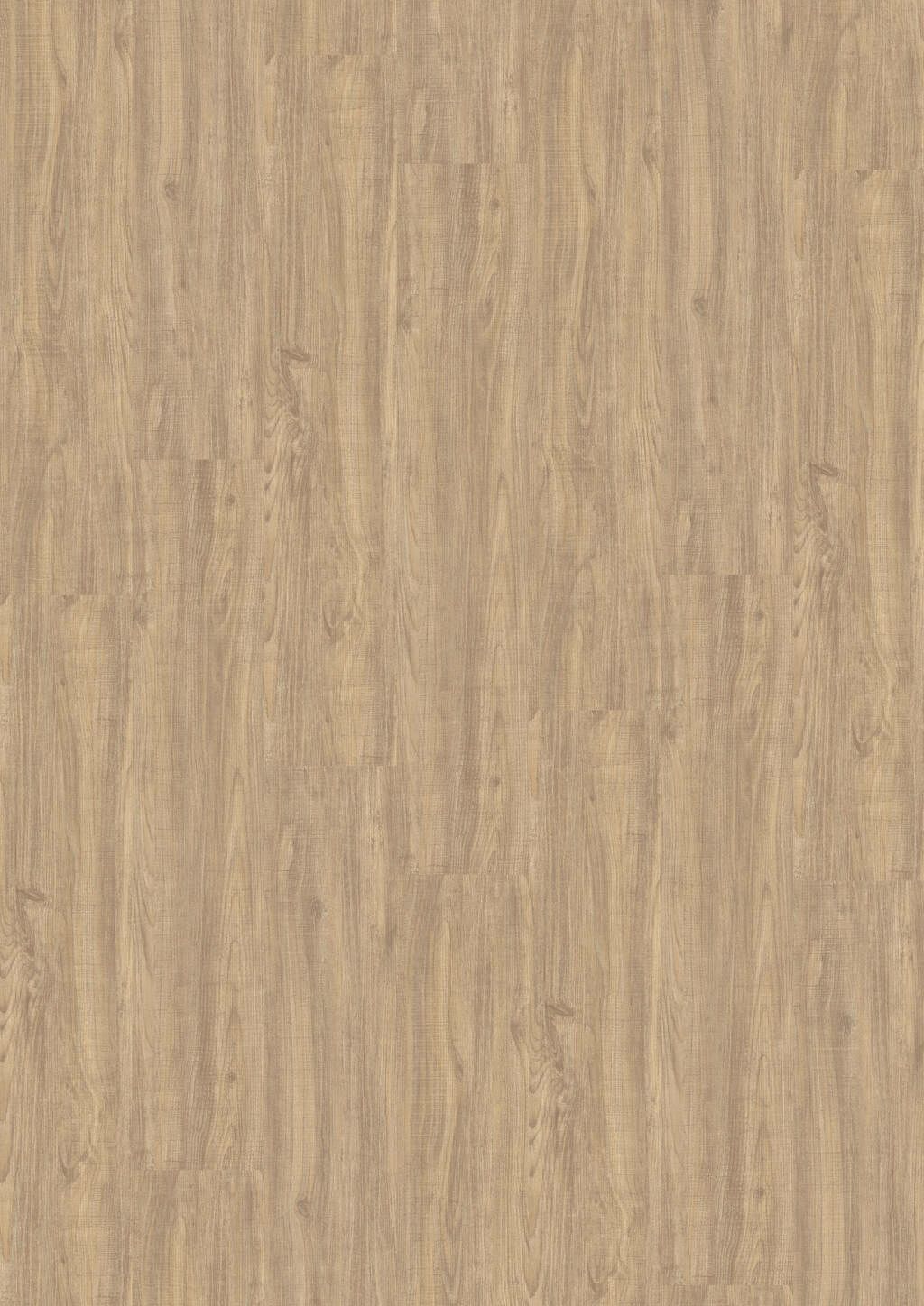 TB01-DESIGN-230-Dryback