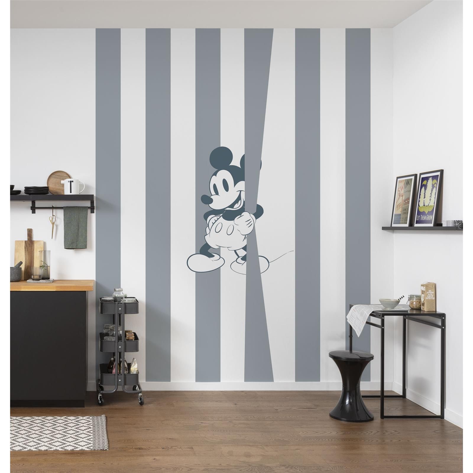 Vlies Fototapete - Mickey Offbeat - Größe 200 x 250 cm