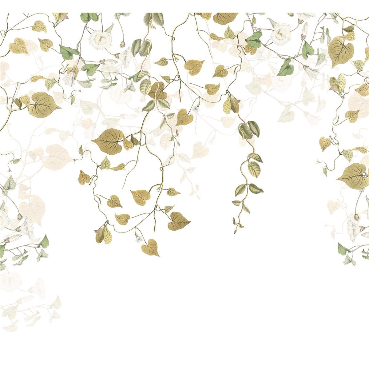 Vlies Fototapete - Hedera - Größe 300 x 280 cm