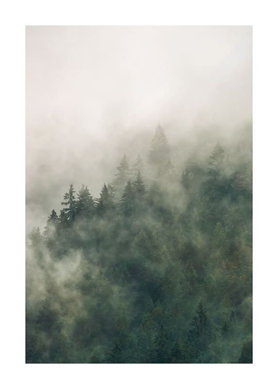 Komar Wandbild - Tales of the Carpathians  - Größe: 50 x 70 cm
