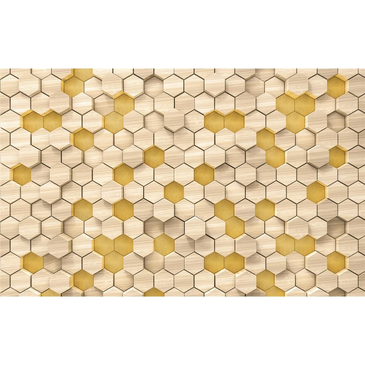 Vlies Fototapete - Woodcomb Birch - Größe 400 x 250 cm