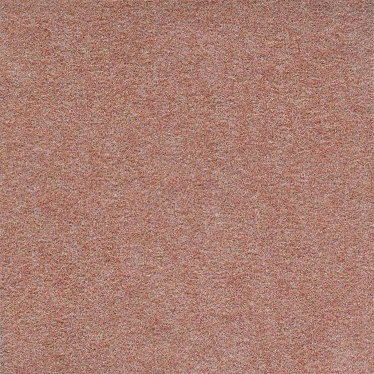 Teppichplanken 25 x 100 cm Nadelvlies FINETT DIMENSION p509204 Beigerot