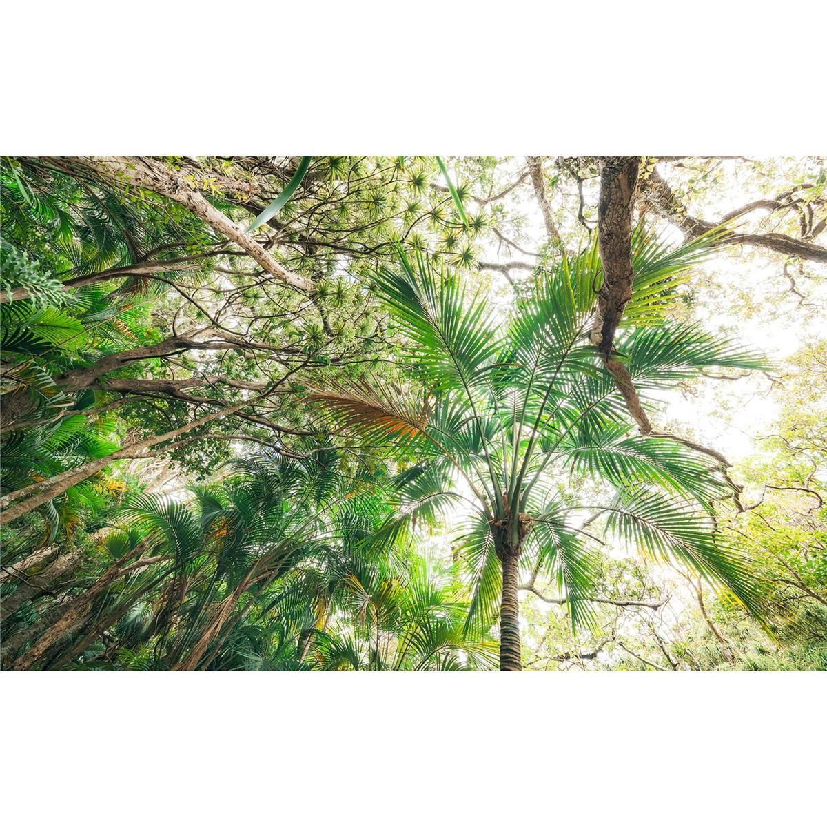 Vlies Fototapete - Touch the Jungle  - Größe 450 x 280 cm