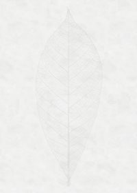 Vlies Fototapete - Decent Leaf - Größe 200 x 280 cm