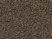 Beige 5W87