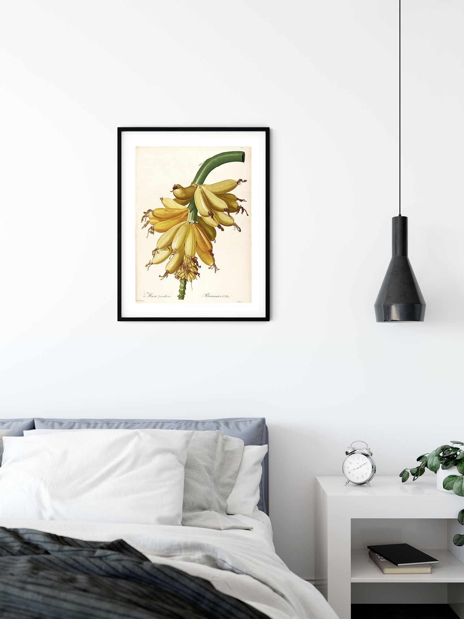Komar Wandbild - Plantains - Größe: 40 x 50 cm