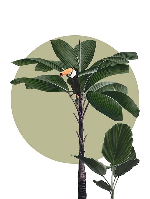 Komar Wandbild - Botanical Garden Palmtree  - Größe: 30 x 40 cm