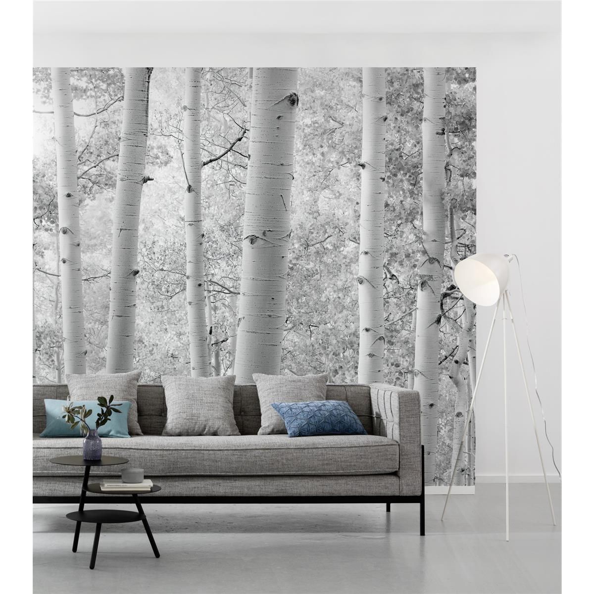 Vlies Fototapete - Espenwald - Größe 450 x 280 cm