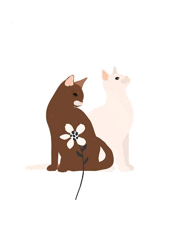 Komar Wandbild - Loving Cats  - Größe: 30 x 40 cm