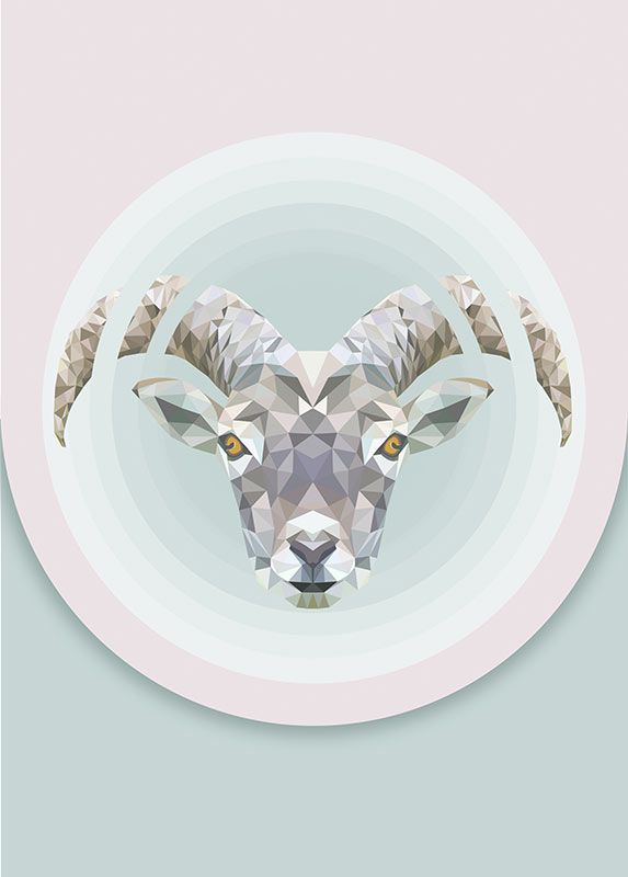 Komar Wandbild - Capricorn  - Größe: 30 x 40 cm