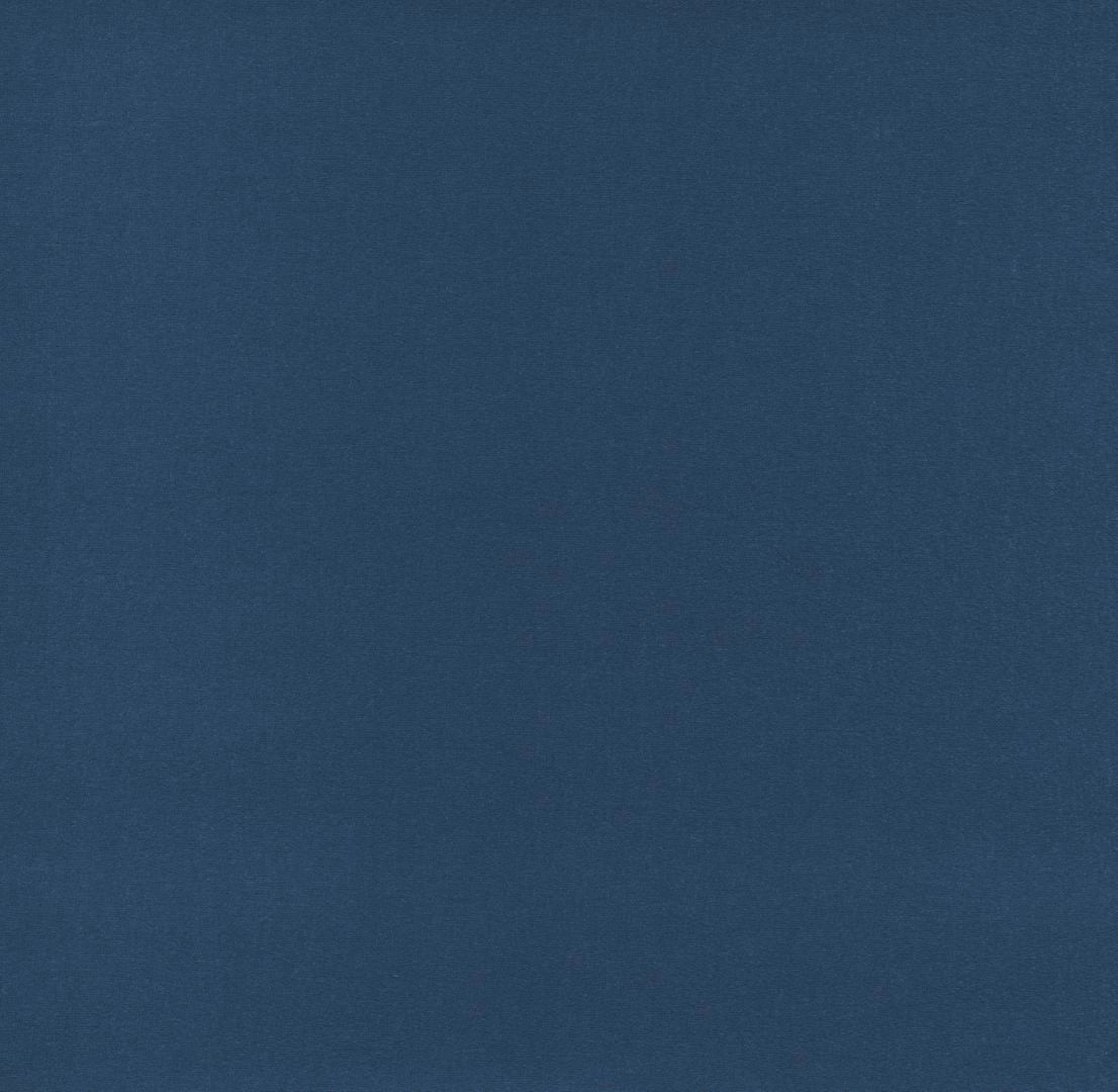 Blau 3Q95