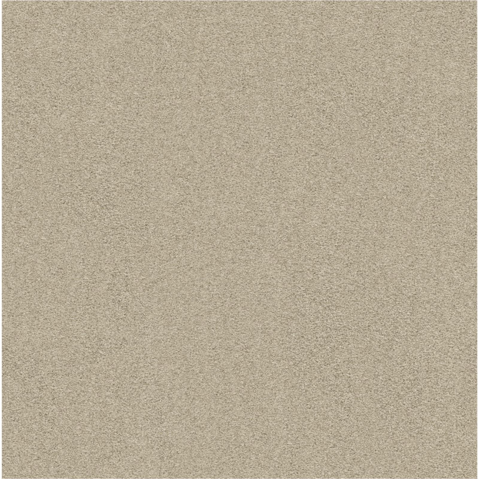 Beige 6C79