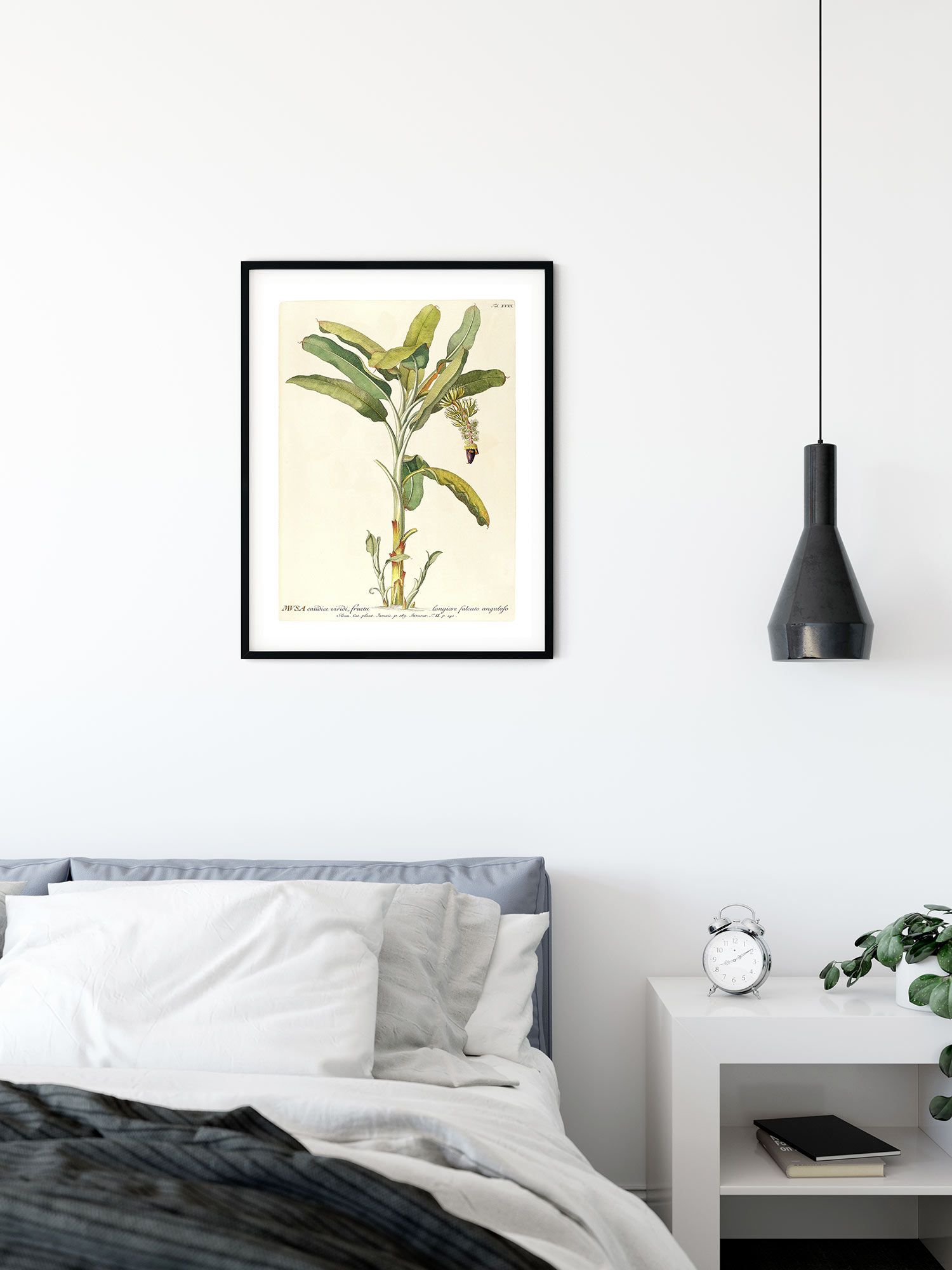 Komar Wandbild - Rainforest Sapling - Größe: 40 x 50 cm