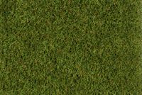 Rasen ELBA 500cm Farbe 30
