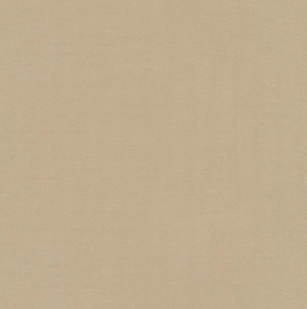 Teppichboden Vorwerk Superior 1063 MODENA DE LUXE Velours Beige 8K16 - Rollenbreite 500 cm