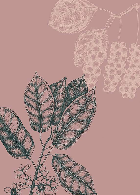 Komar Wandbild - Wild Berry  - Größe: 50 x 70 cm