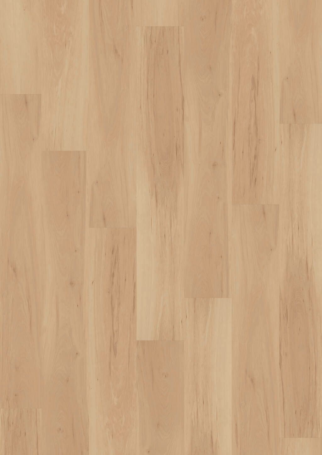 TB01-DESIGN-330-Click