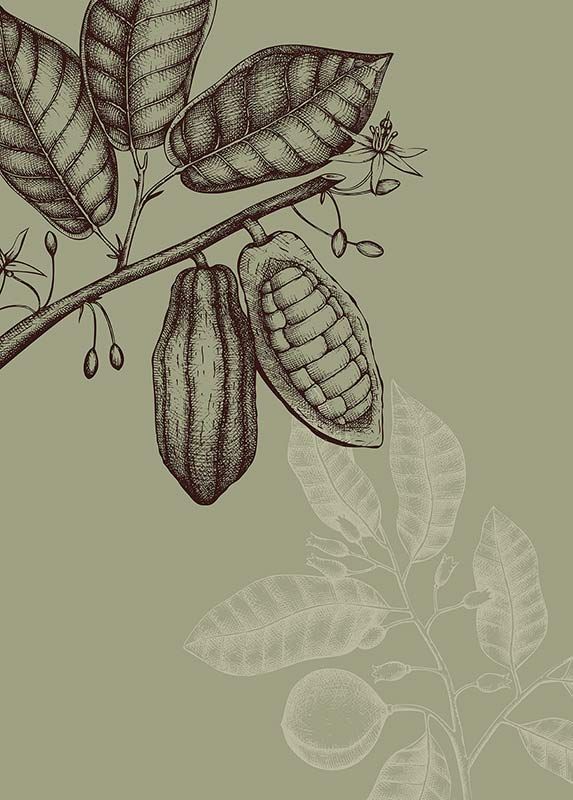 Komar Wandbild - Wild Cocoa  - Größe: 50 x 70 cm
