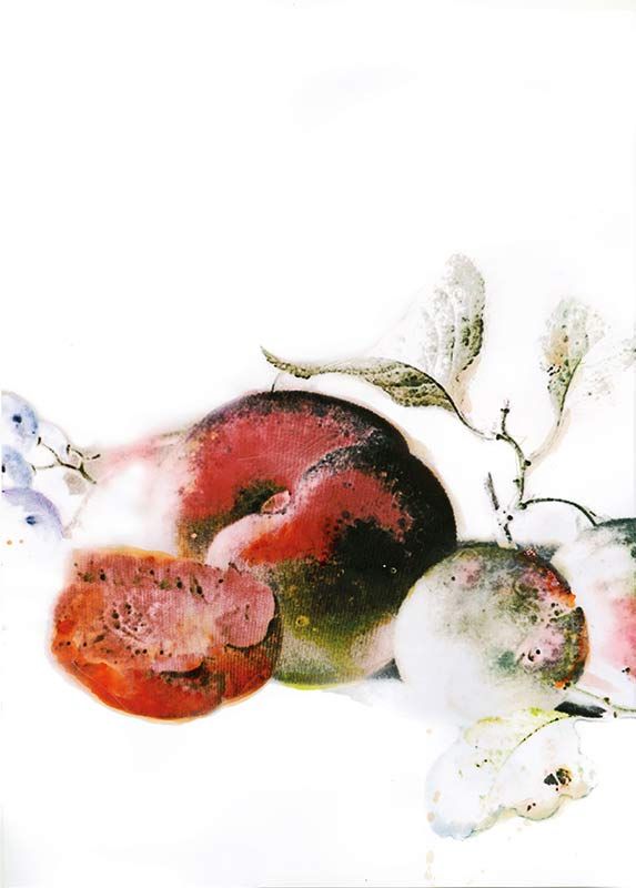 Komar Wandbild - Dessert Fruité  - Größe: 50 x 70 cm